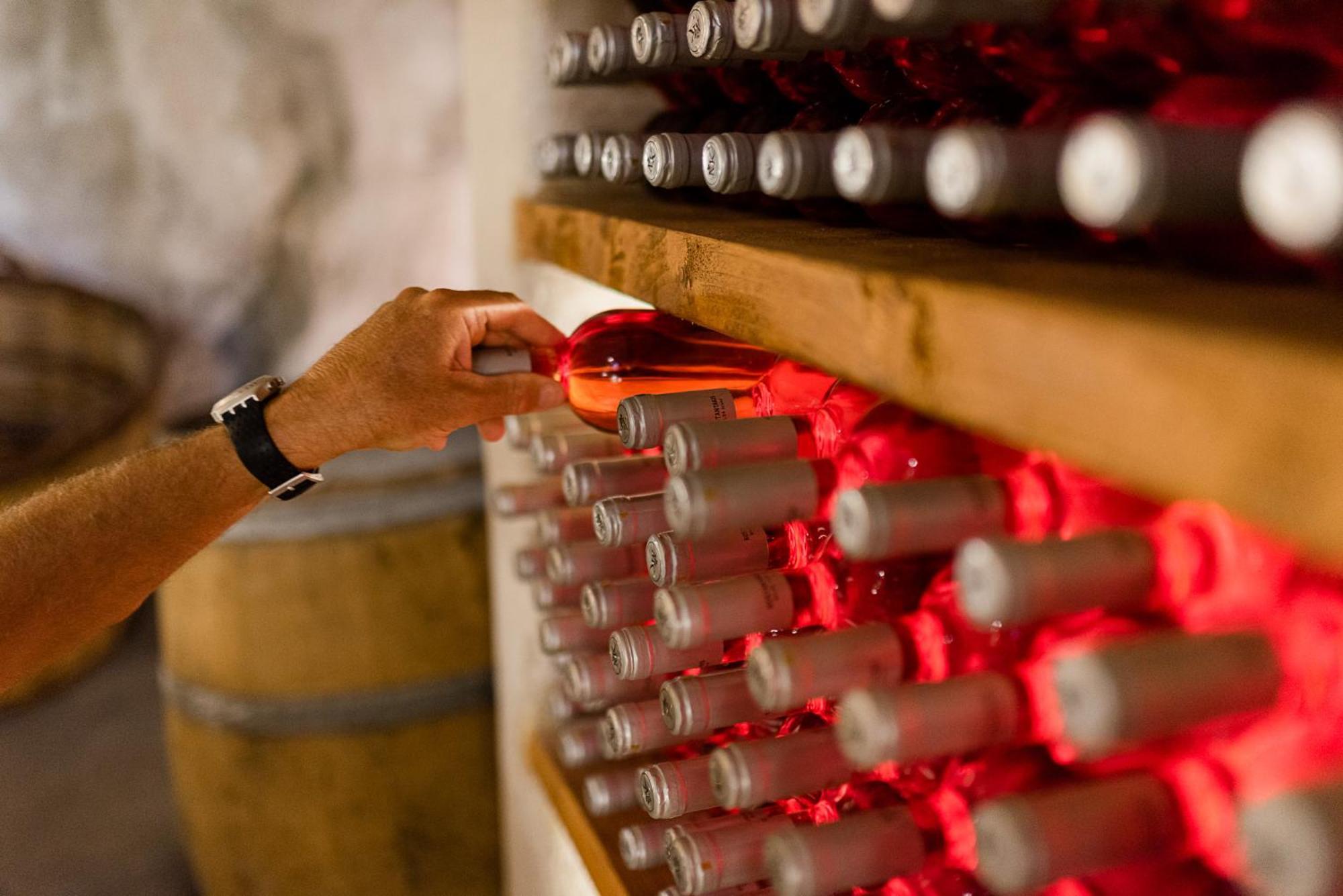 Kostantakis Winery Estate Pensionat Pollonia Eksteriør billede